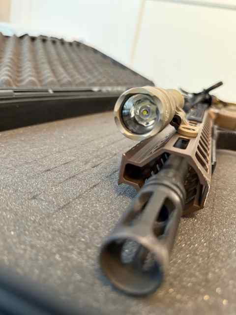 WTT/WTS Surefire M300 Light