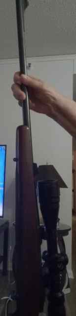 Resized_20250619_105216.jpeg