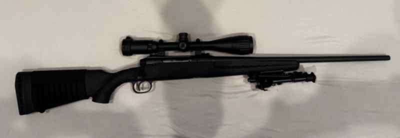 Savage Axis .308