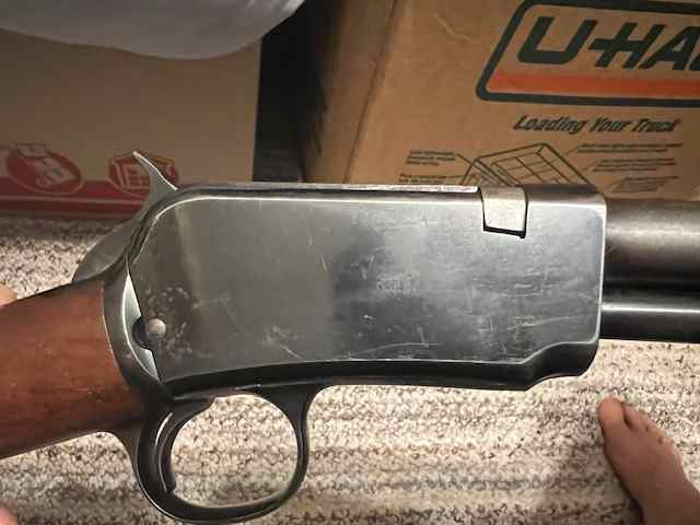 image5.jpeg