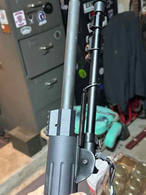 DPMS AR10