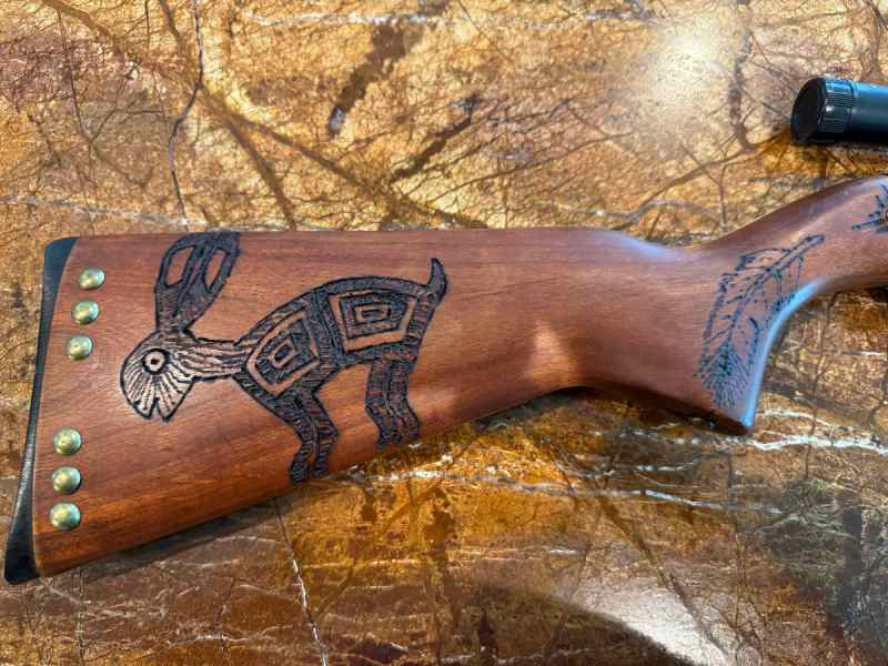 REDUCED-Winchester Model 190 .22 - $300