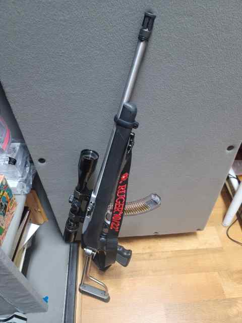 Ruger stainless 10/22 tactical rifle