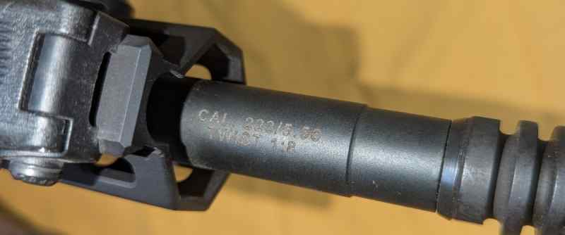 PXL_20250713_205636099.jpg